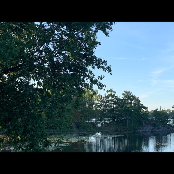 Meet your Posher, Michele - Picture 1 of 1